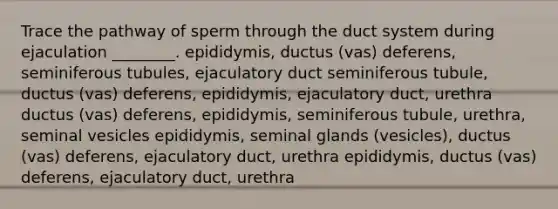 Trace the pathway of sperm through the duct system during ejaculation ________. epididymis, ductus (vas) deferens, seminiferous tubules, ejaculatory duct seminiferous tubule, ductus (vas) deferens, epididymis, ejaculatory duct, urethra ductus (vas) deferens, epididymis, seminiferous tubule, urethra, seminal vesicles epididymis, seminal glands (vesicles), ductus (vas) deferens, ejaculatory duct, urethra epididymis, ductus (vas) deferens, ejaculatory duct, urethra