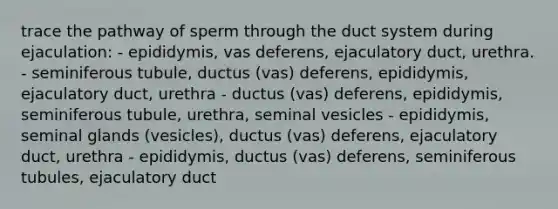 trace the pathway of sperm through the duct system during ejaculation: - epididymis, vas deferens, ejaculatory duct, urethra. - seminiferous tubule, ductus (vas) deferens, epididymis, ejaculatory duct, urethra - ductus (vas) deferens, epididymis, seminiferous tubule, urethra, seminal vesicles - epididymis, seminal glands (vesicles), ductus (vas) deferens, ejaculatory duct, urethra - epididymis, ductus (vas) deferens, seminiferous tubules, ejaculatory duct