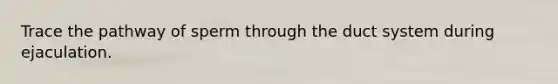 Trace the pathway of sperm through the duct system during ejaculation.
