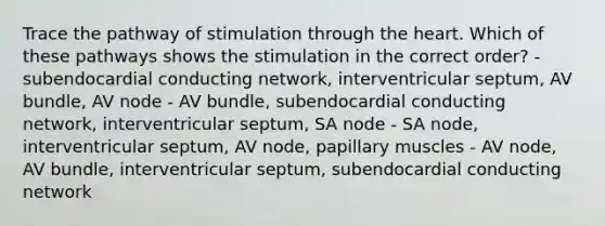 Trace the pathway of stimulation through the heart. Which of these pathways shows the stimulation in the correct order? - subendocardial conducting network, interventricular septum, AV bundle, AV node - AV bundle, subendocardial conducting network, interventricular septum, SA node - SA node, interventricular septum, AV node, papillary muscles - AV node, AV bundle, interventricular septum, subendocardial conducting network