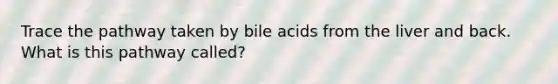 Trace the pathway taken by bile acids from the liver and back. What is this pathway called?