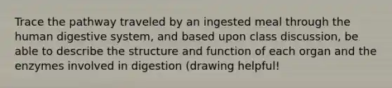 Trace the pathway traveled by an ingested meal through the human digestive system, and based upon class discussion, be able to describe the structure and function of each organ and the enzymes involved in digestion (drawing helpful!