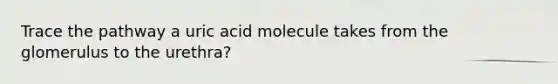 Trace the pathway a uric acid molecule takes from the glomerulus to the urethra?