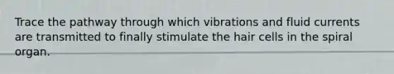 Trace the pathway through which vibrations and fluid currents are transmitted to finally stimulate the hair cells in the spiral organ.