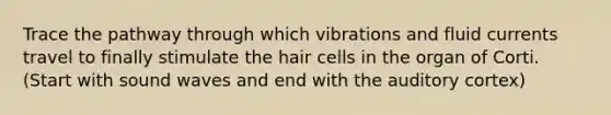 Trace the pathway through which vibrations and fluid currents travel to finally stimulate the hair cells in the organ of Corti. (Start with sound waves and end with the auditory cortex)