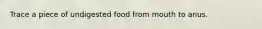 Trace a piece of undigested food from mouth to anus.