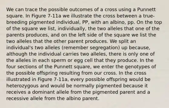 We can trace the possible outcomes of a cross using a Punnett square. In Figure 7-11a we illustrate the cross between a true-breeding pigmented individual, PP, with an albino, pp. On the top of the square we list, individually, the two alleles that one of the parents produces, and on the left side of the square we list the two alleles that the other parent produces. We split an individual's two alleles (remember segregation) up because, although the individual carries two alleles, there is only one of the alleles in each sperm or egg cell that they produce. In the four sections of the Punnett square, we enter the genotypes of the possible offspring resulting from our cross. In the cross illustrated in Figure 7-11a, every possible offspring would be heterozygous and would be normally pigmented because it receives a dominant allele from the pigmented parent and a recessive allele from the albino parent.