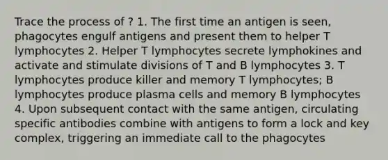 Trace the process of ? 1. The first time an antigen is seen, phagocytes engulf antigens and present them to helper T lymphocytes 2. Helper T lymphocytes secrete lymphokines and activate and stimulate divisions of T and B lymphocytes 3. T lymphocytes produce killer and memory T lymphocytes; B lymphocytes produce plasma cells and memory B lymphocytes 4. Upon subsequent contact with the same antigen, circulating specific antibodies combine with antigens to form a lock and key complex, triggering an immediate call to the phagocytes