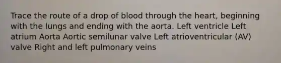 Trace the route of a drop of blood through the heart, beginning with the lungs and ending with the aorta. Left ventricle Left atrium Aorta Aortic semilunar valve Left atrioventricular (AV) valve Right and left pulmonary veins