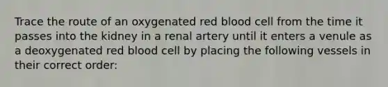 Trace the route of an oxygenated red blood cell from the time it passes into the kidney in a renal artery until it enters a venule as a deoxygenated red blood cell by placing the following vessels in their correct order: