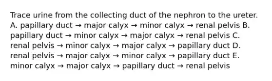 Trace urine from the collecting duct of the nephron to the ureter. A. papillary duct → major calyx → minor calyx → renal pelvis B. papillary duct → minor calyx → major calyx → renal pelvis C. renal pelvis → minor calyx → major calyx → papillary duct D. renal pelvis → major calyx → minor calyx → papillary duct E. minor calyx → major calyx → papillary duct → renal pelvis