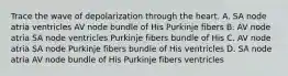 Trace the wave of depolarization through the heart. A. SA node atria ventricles AV node bundle of His Purkinje fibers B. AV node atria SA node ventricles Purkinje fibers bundle of His C. AV node atria SA node Purkinje fibers bundle of His ventricles D. SA node atria AV node bundle of His Purkinje fibers ventricles