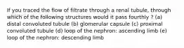 If you traced the flow of filtrate through a renal tubule, through which of the following structures would it pass fourthly ? (a) distal convoluted tubule (b) glomerular capsule (c) proximal convoluted tubule (d) loop of the nephron: ascending limb (e) loop of the nephron: descending limb