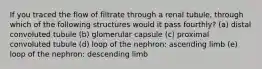 If you traced the flow of filtrate through a renal tubule, through which of the following structures would it pass fourthly? (a) distal convoluted tubule (b) glomerular capsule (c) proximal convoluted tubule (d) loop of the nephron: ascending limb (e) loop of the nephron: descending limb