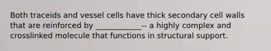 Both traceids and vessel cells have thick secondary cell walls that are reinforced by ____________-- a highly complex and crosslinked molecule that functions in structural support.