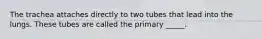 The trachea attaches directly to two tubes that lead into the lungs. These tubes are called the primary _____.