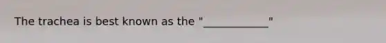 The trachea is best known as the "____________"