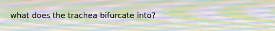 what does the trachea bifurcate into?