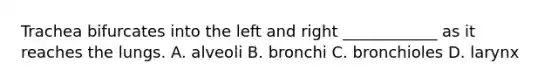 Trachea bifurcates into the left and right ____________ as it reaches the lungs. A. alveoli B. bronchi C. bronchioles D. larynx