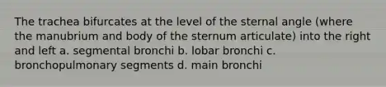 The trachea bifurcates at the level of the sternal angle (where the manubrium and body of the sternum articulate) into the right and left a. segmental bronchi b. lobar bronchi c. bronchopulmonary segments d. main bronchi