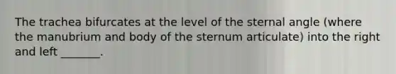 The trachea bifurcates at the level of the sternal angle (where the manubrium and body of the sternum articulate) into the right and left _______.