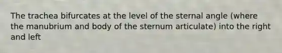 The trachea bifurcates at the level of the sternal angle (where the manubrium and body of the sternum articulate) into the right and left