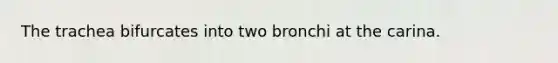 The trachea bifurcates into two bronchi at the carina.