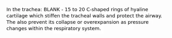 In the trachea: BLANK - 15 to 20 C-shaped rings of hyaline cartilage which stiffen the tracheal walls and protect the airway. The also prevent its collapse or overexpansion as pressure changes within the respiratory system.