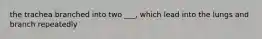 the trachea branched into two ___, which lead into the lungs and branch repeatedly