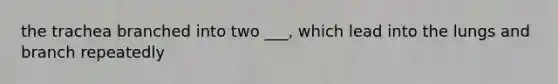 the trachea branched into two ___, which lead into the lungs and branch repeatedly