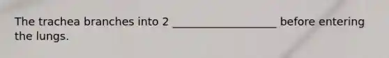 The trachea branches into 2 ___________________ before entering the lungs.