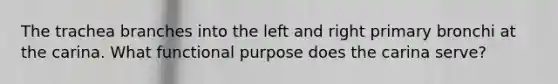 The trachea branches into the left and right primary bronchi at the carina. What functional purpose does the carina serve?