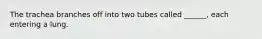 The trachea branches off into two tubes called ______, each entering a lung.