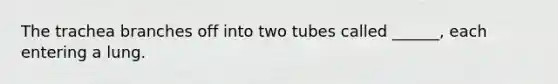 The trachea branches off into two tubes called ______, each entering a lung.