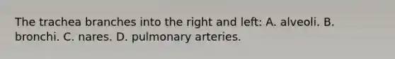 The trachea branches into the right and left: A. alveoli. B. bronchi. C. nares. D. pulmonary arteries.