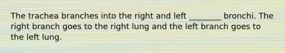 The trachea branches into the right and left ________ bronchi. The right branch goes to the right lung and the left branch goes to the left lung.