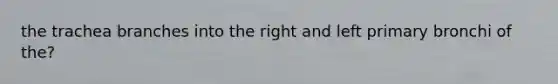 the trachea branches into the right and left primary bronchi of the?