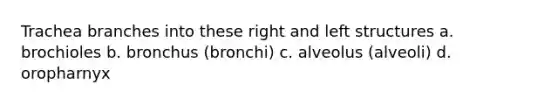 Trachea branches into these right and left structures a. brochioles b. bronchus (bronchi) c. alveolus (alveoli) d. oropharnyx