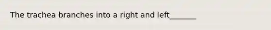 The trachea branches into a right and left_______