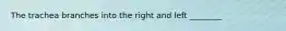 The trachea branches into the right and left ________