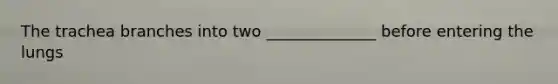 The trachea branches into two ______________ before entering the lungs