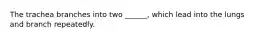 The trachea branches into two ______, which lead into the lungs and branch repeatedly.