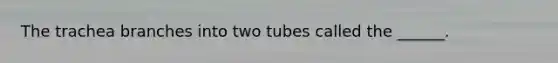 The trachea branches into two tubes called the ______.