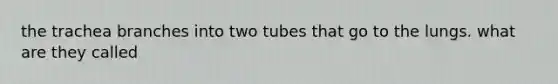 the trachea branches into two tubes that go to the lungs. what are they called