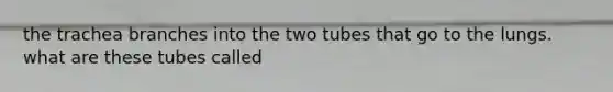 the trachea branches into the two tubes that go to the lungs. what are these tubes called