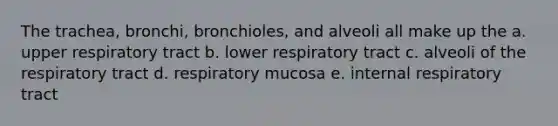 The trachea, bronchi, bronchioles, and alveoli all make up the a. upper respiratory tract b. lower respiratory tract c. alveoli of the respiratory tract d. respiratory mucosa e. internal respiratory tract