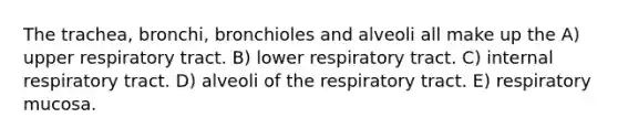 The trachea, bronchi, bronchioles and alveoli all make up the A) upper respiratory tract. B) lower respiratory tract. C) internal respiratory tract. D) alveoli of the respiratory tract. E) respiratory mucosa.