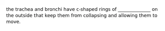 the trachea and bronchi have c-shaped rings of ______________ on the outside that keep them from collapsing and allowing them to move.