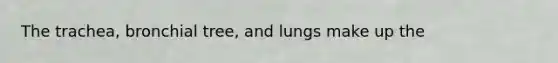 The trachea, bronchial tree, and lungs make up the