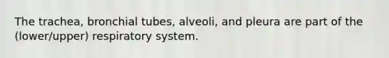 The trachea, bronchial tubes, alveoli, and pleura are part of the (lower/upper) respiratory system.